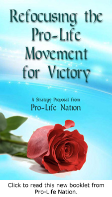 Pro Life Nation Refocusing The Pro Life Movement For Victory